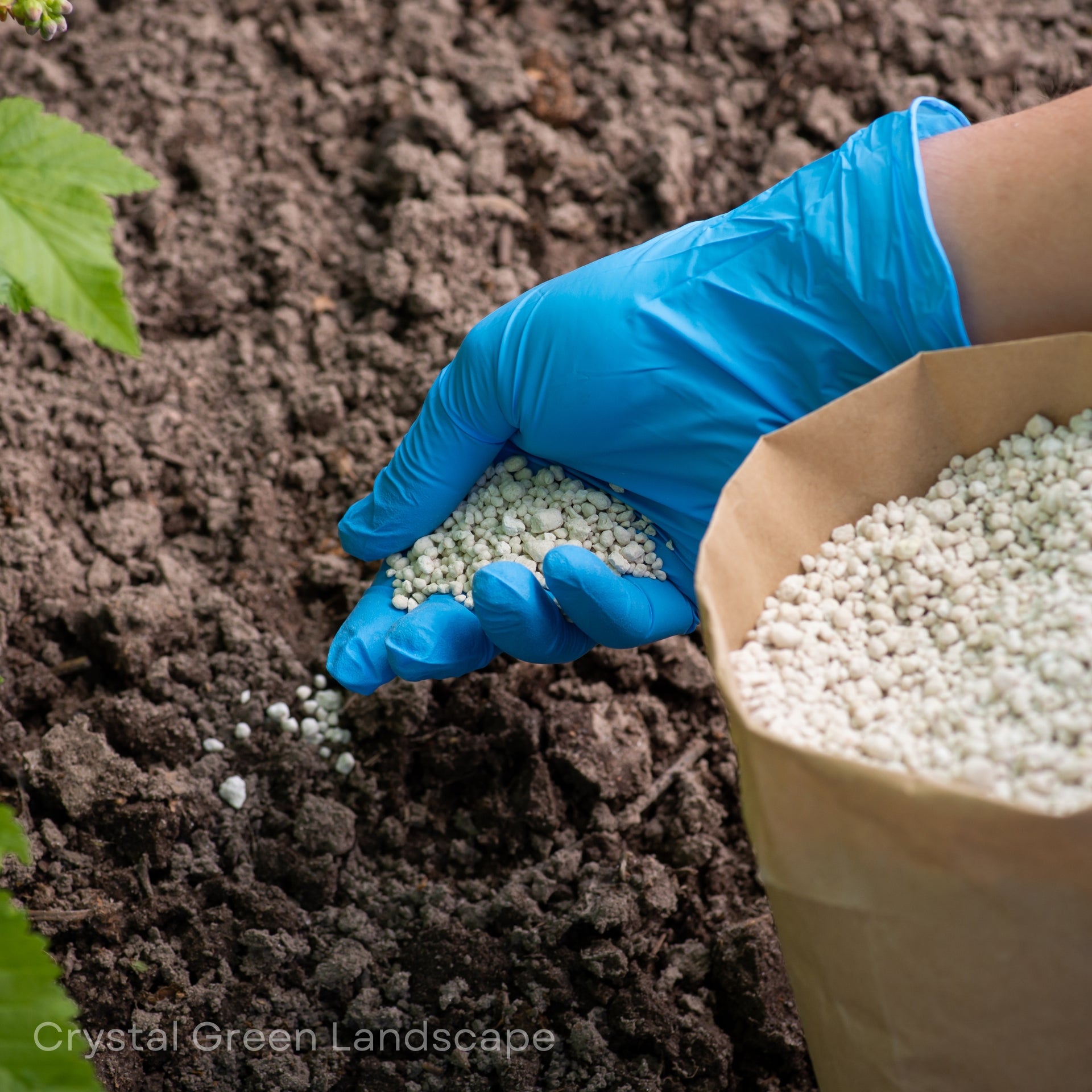 Garden Maintenance Services in Dubai