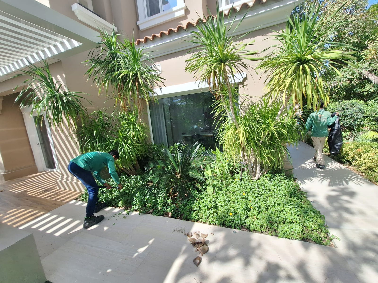 Top-rated Garden Maintenance Services in Dubai