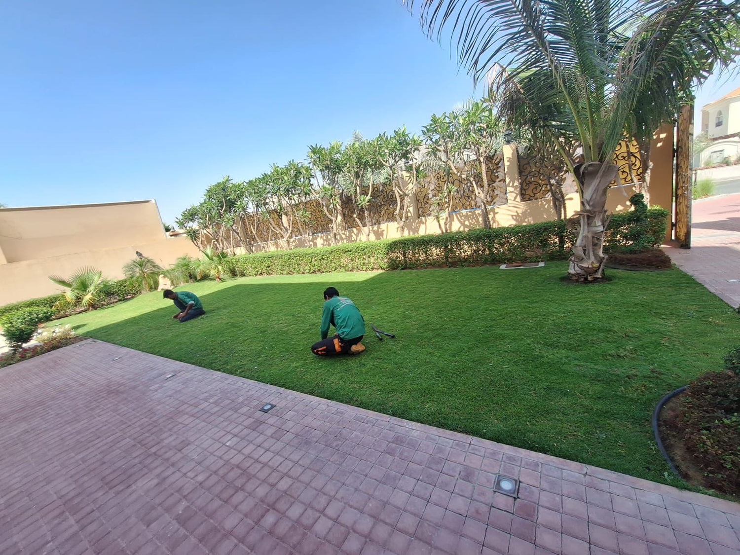 Top-rated Garden Maintenance Services in Dubai